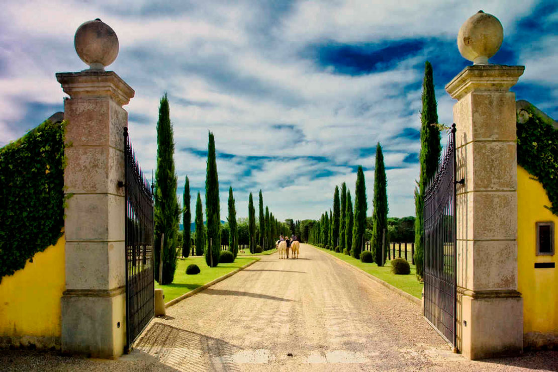 Bajo el Sol de la Toscana 4