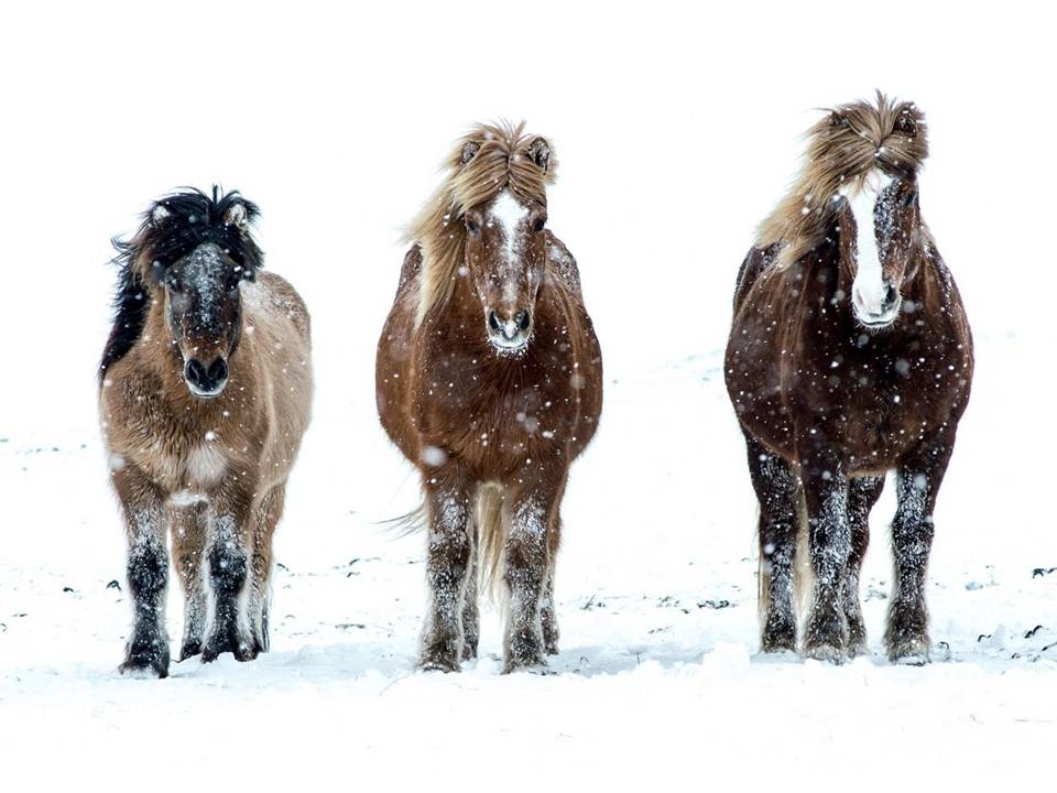 Islandia Tierra de hielo y fuego 3