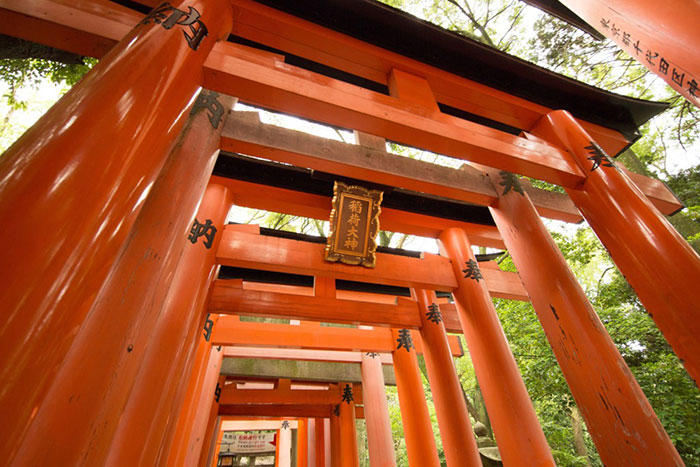 Japón el destino que marca tendencia 2