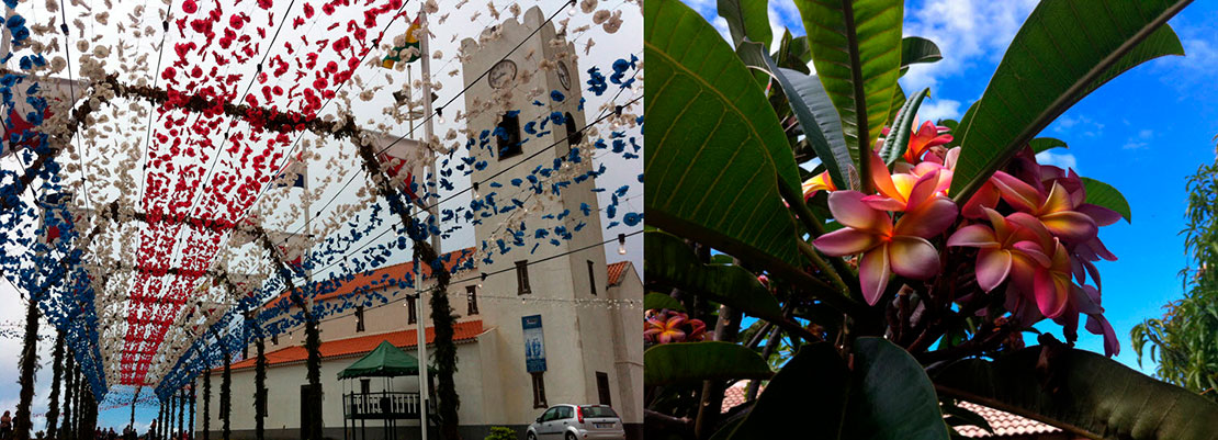 Madeira El jardín del Atlántico 7